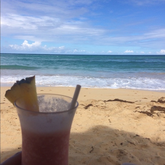 Meet your Posher, Acacia - Picture 1 of 1